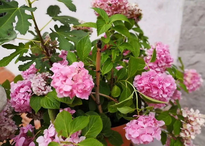 Pobri App3 아파트 *